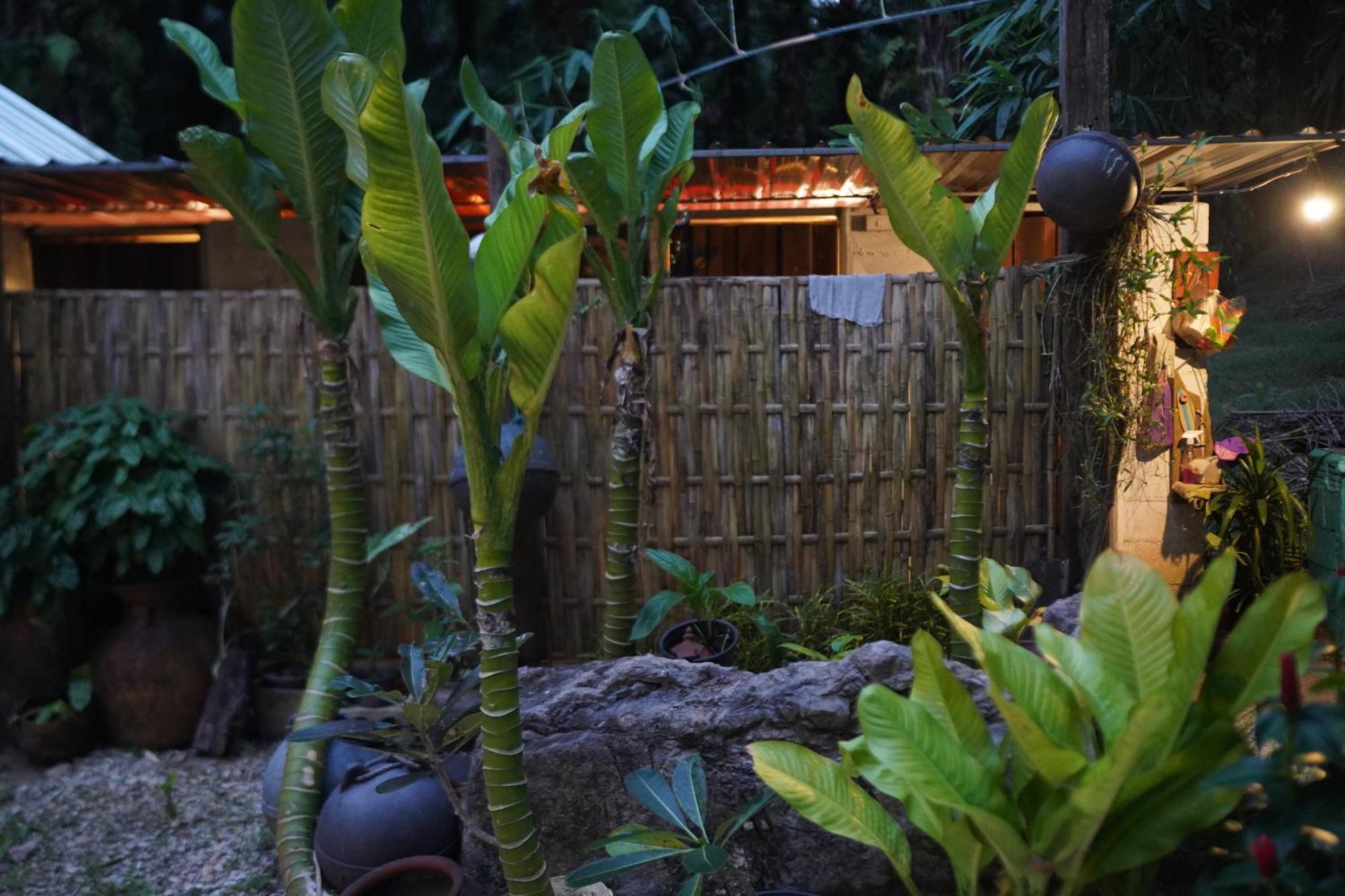 Krabi Bamboo Kingdom At Aoluek Paradise Ao Luk Eksteriør bilde